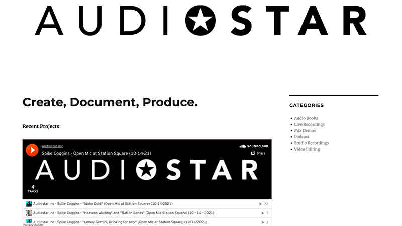 Screenshot of Audiostar Website Template